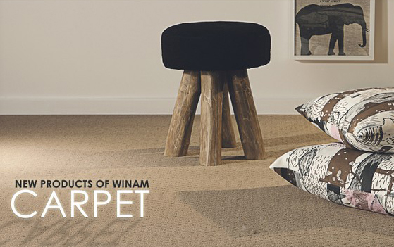 Winam chính thức ra mắt Website cho dòng sản phẩm Thảm Sàn